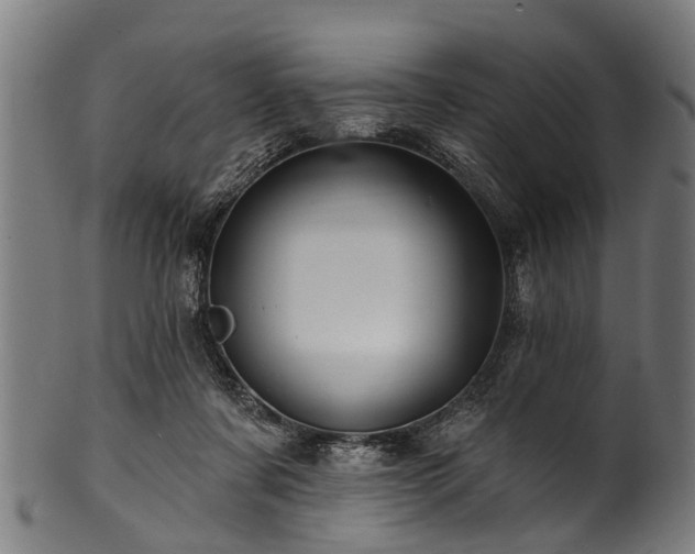 X0000100970311200806241557