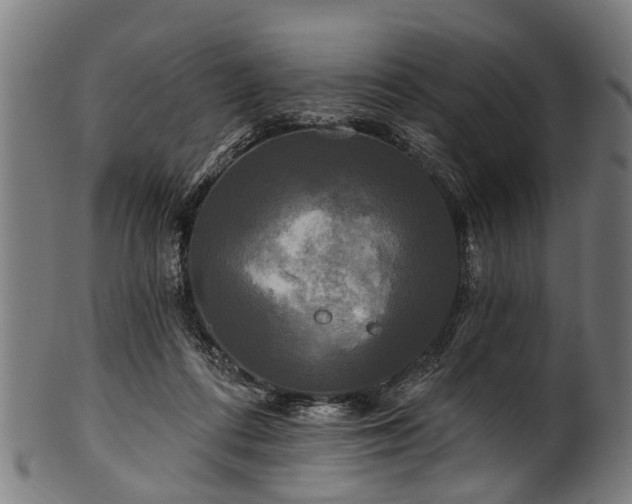 X0000100970312200806241557
