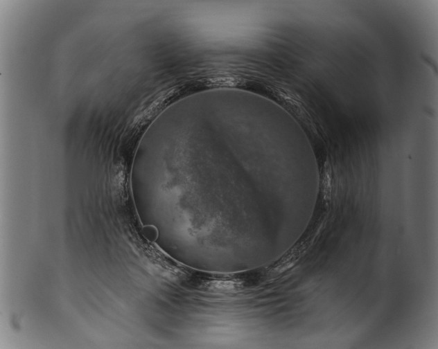 X0000100970314200806241557