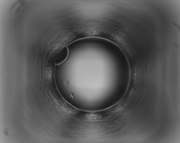 X0000100970315200806241557