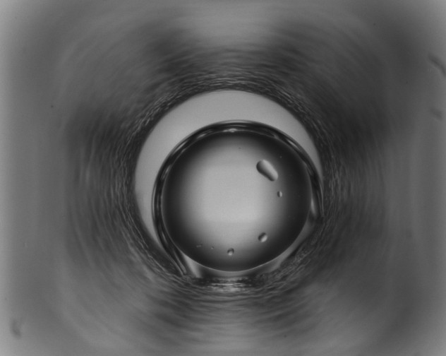 X0000100970316200806241557