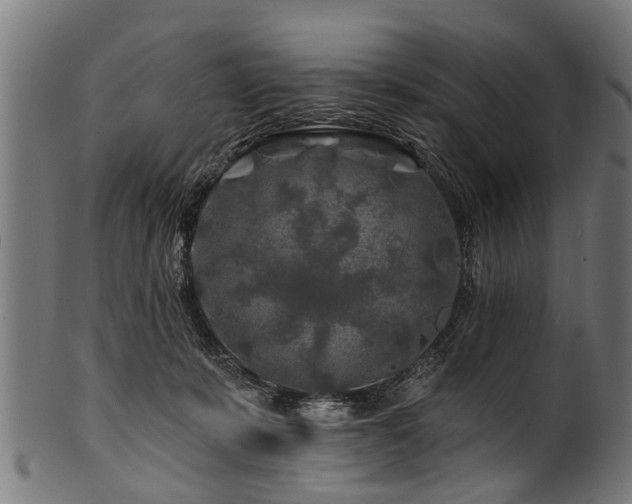 X0000100970319200806241557