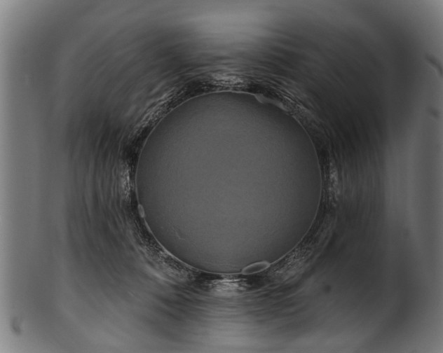 X0000100970320200806241557