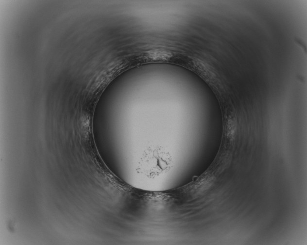 X0000100970321200806241557