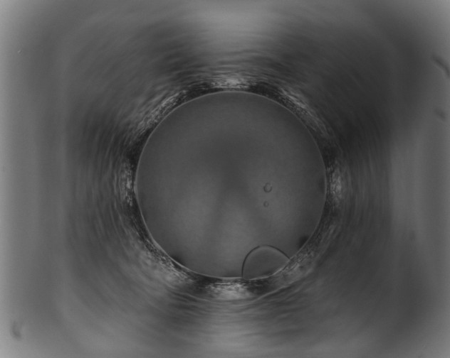 X0000100970322200806241557