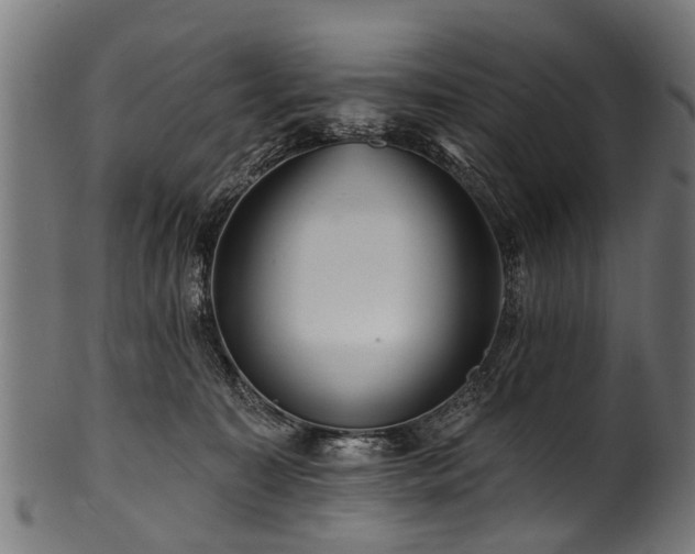 X0000100970323200806241557