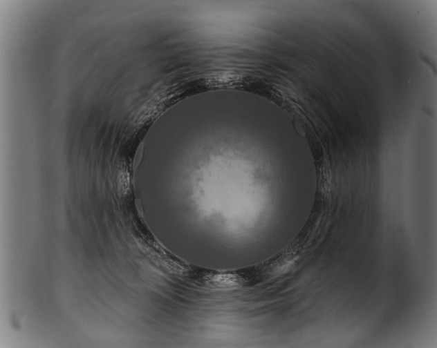 X0000100970324200806241557