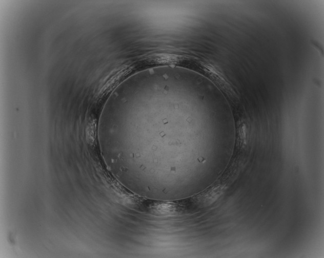 X0000100970325200806241557