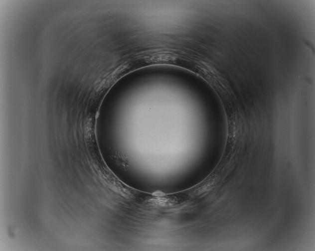 X0000100970326200806241557