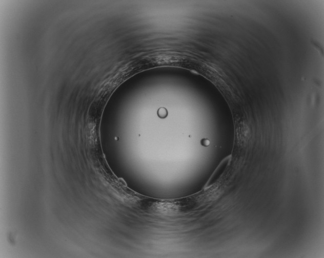 X0000100970327200806241557