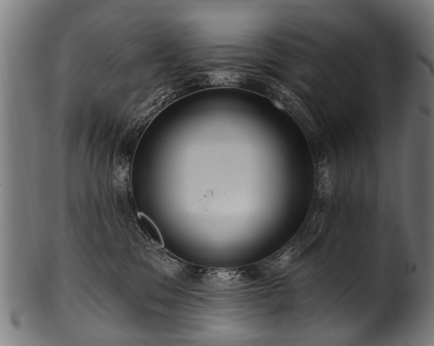 X0000100970329200806241557