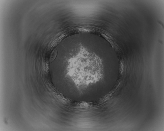 X0000100970330200806241557