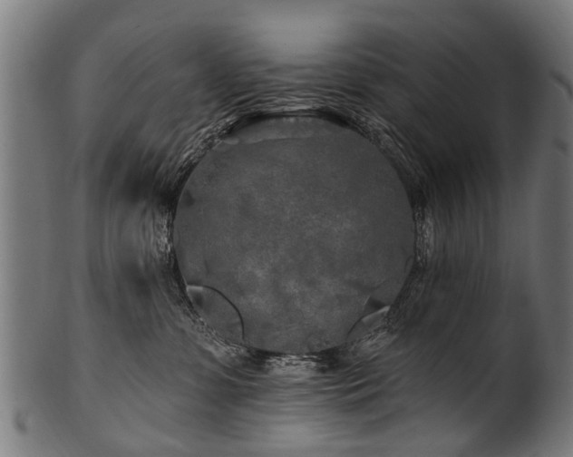 X0000100970331200806241557
