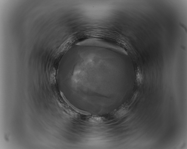X0000100970332200806241557