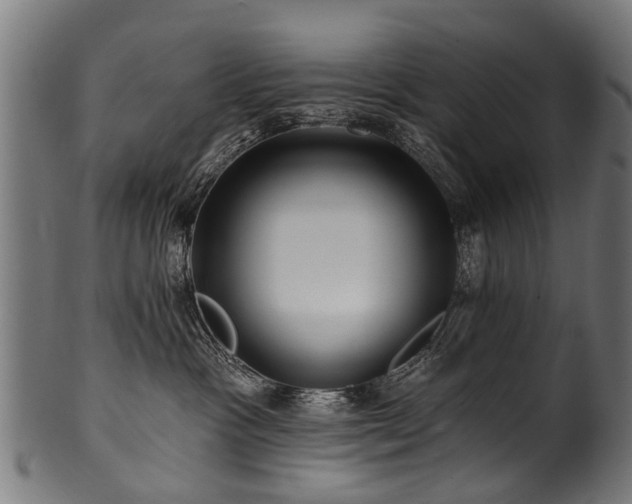 X0000100970333200806241557
