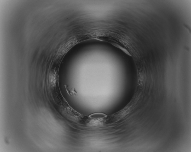 X0000100970334200806241557