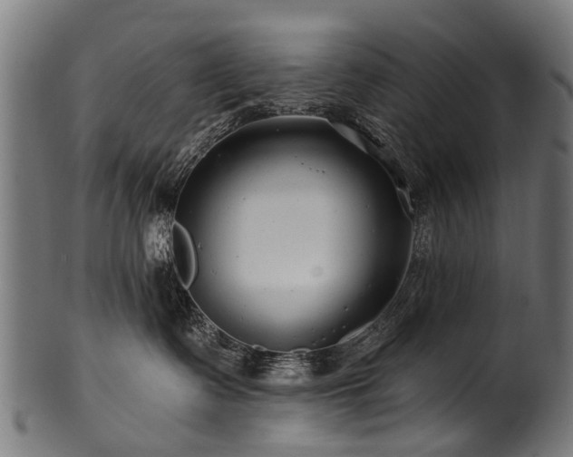 X0000100970335200806241557
