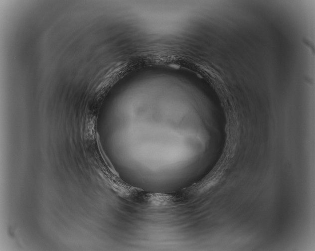 X0000100970336200806241557