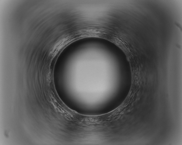 X0000100970338200806241556