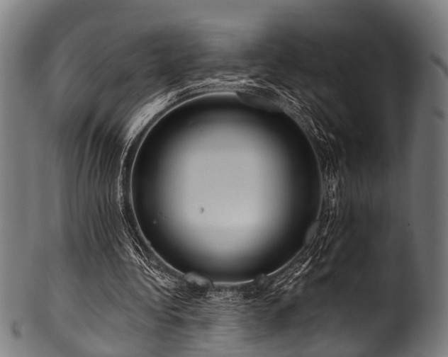 X0000100970340200806241556