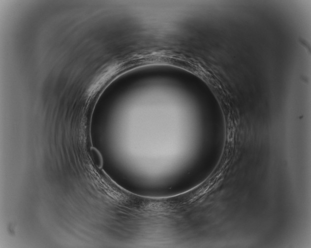 X0000100970341200806241556