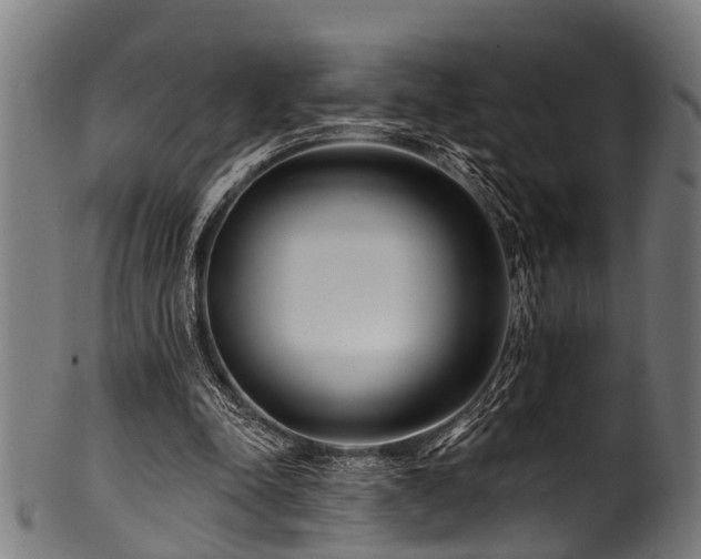 X0000100970342200806241556