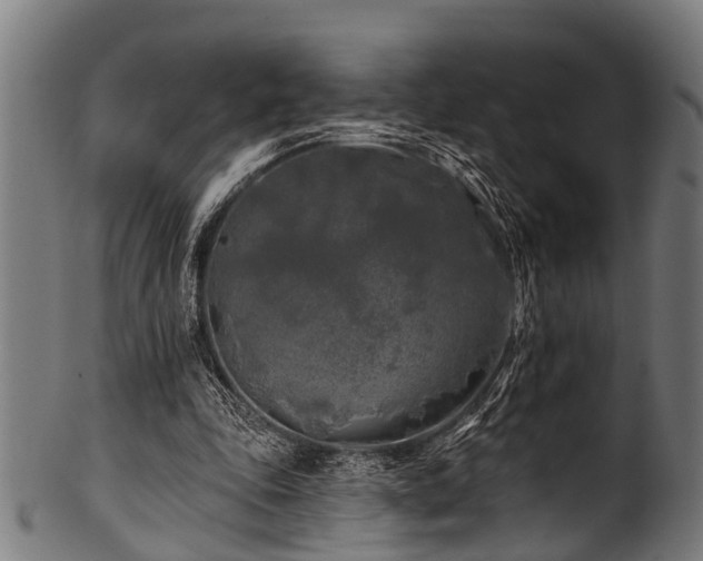 X0000100970343200806241556