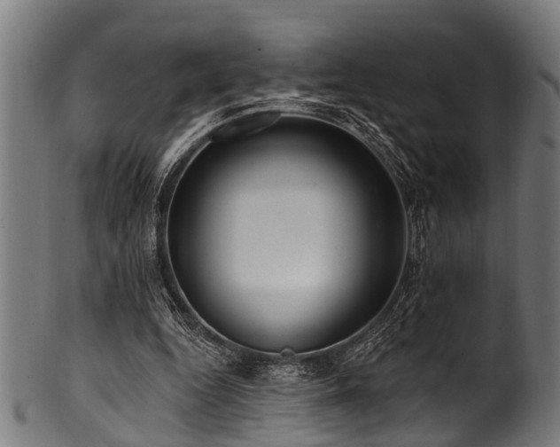 X0000100970344200806241556