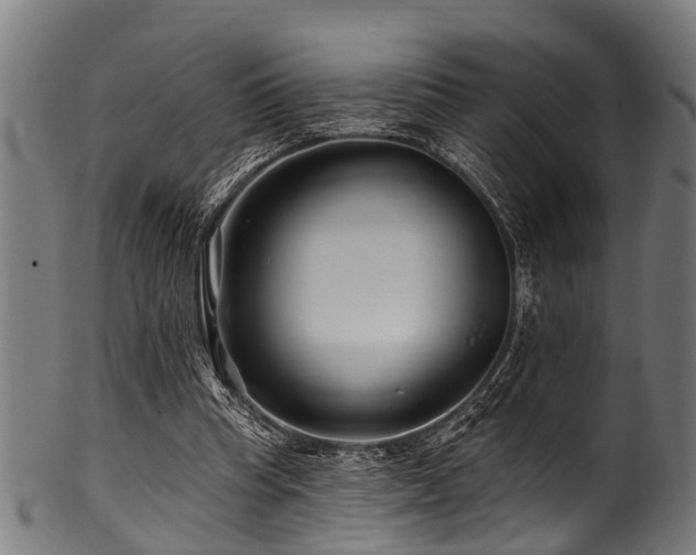 X0000100970345200806241556