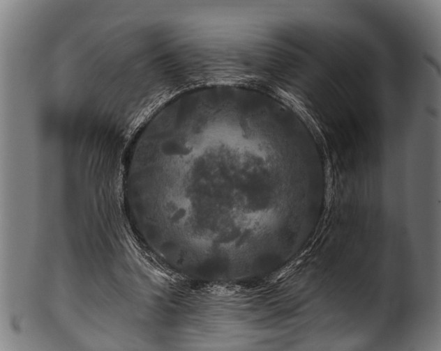 X0000100970346200806241556