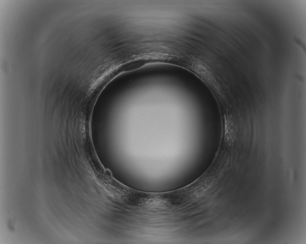 X0000100970348200806241556