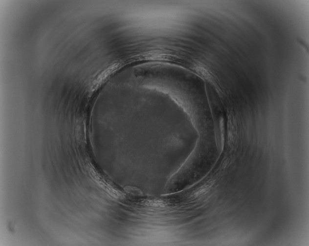 X0000100970349200806241556