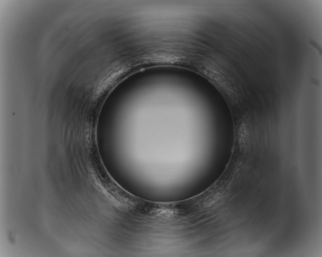 X0000100970352200806241556