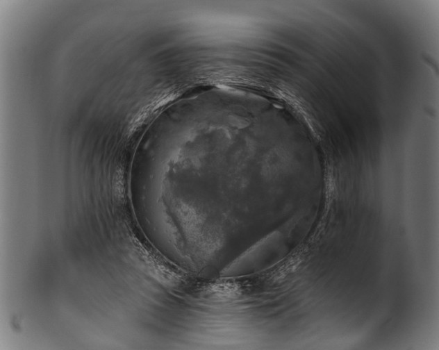X0000100970353200806241556