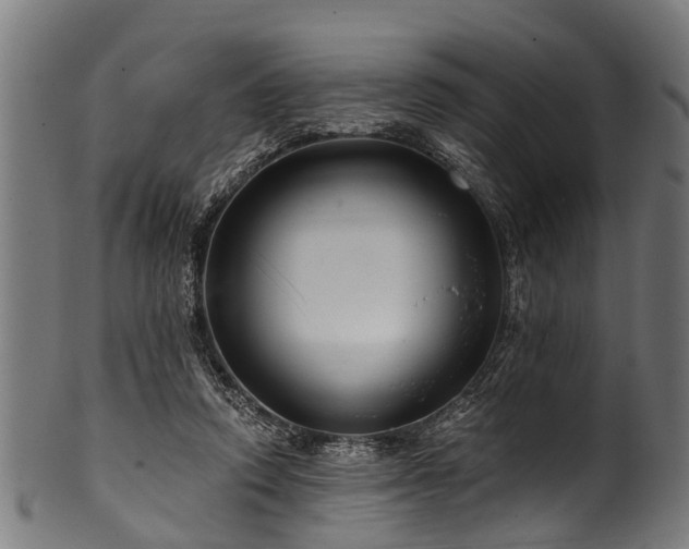 X0000100970354200806241556