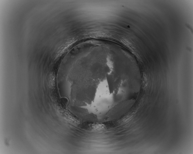 X0000100970355200806241556