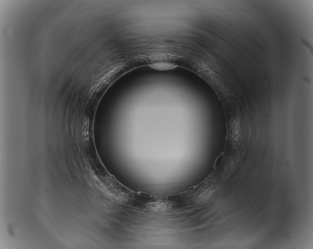 X0000100970356200806241556