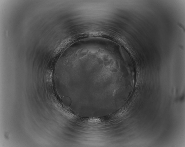 X0000100970357200806241556