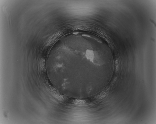 X0000100970361200806241556