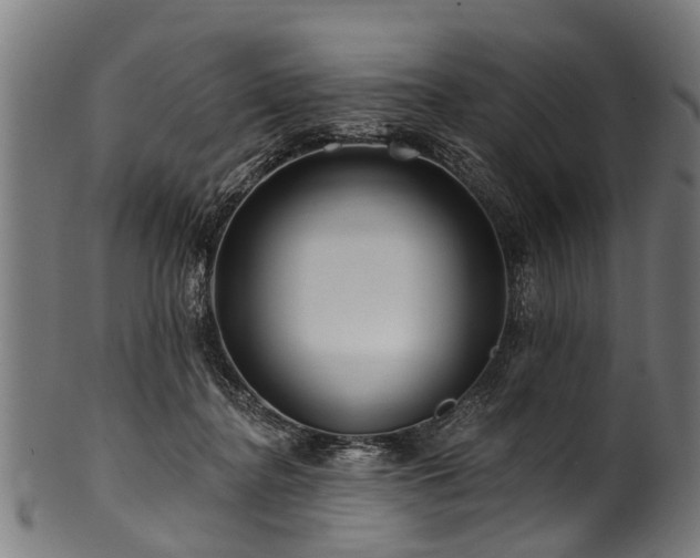 X0000100970364200806241557