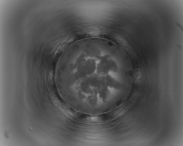 X0000100970365200806241557