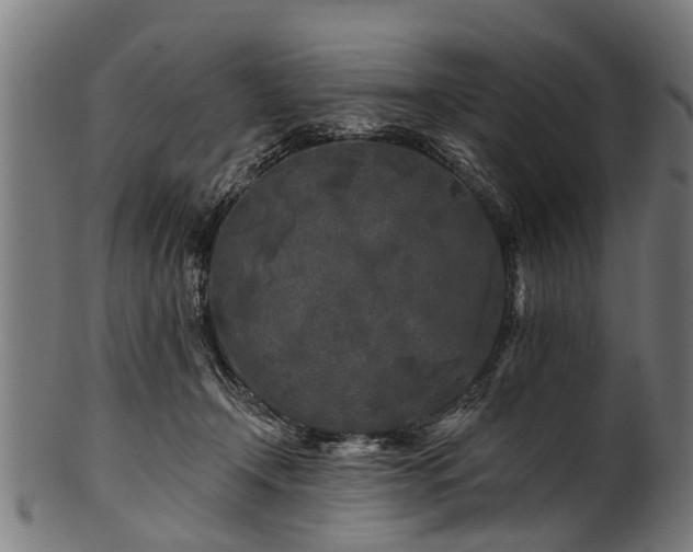 X0000100970366200806241557