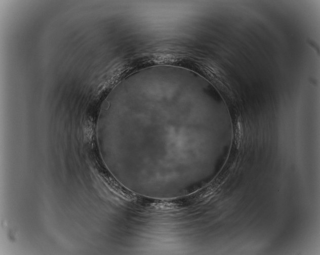 X0000100970367200806241557