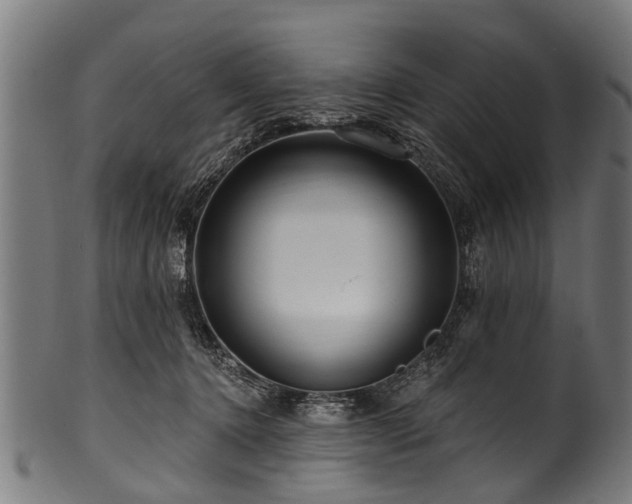 X0000100970368200806241557