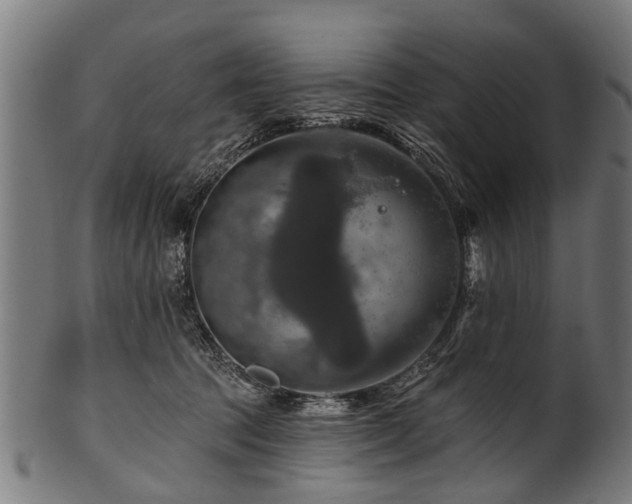 X0000100970369200806241557
