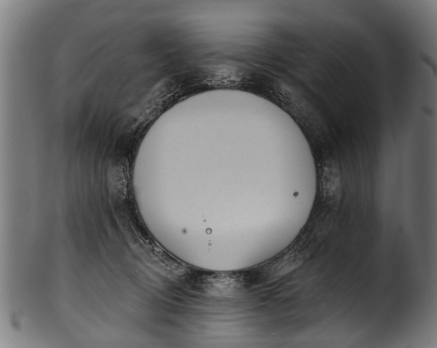X0000100970370200806241557