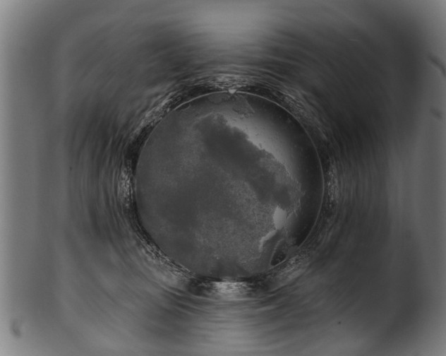 X0000100970371200806241557