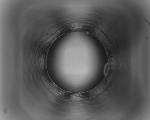 X0000100970372200806241557