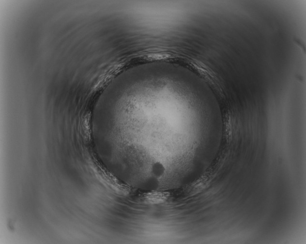 X0000100970373200806241557