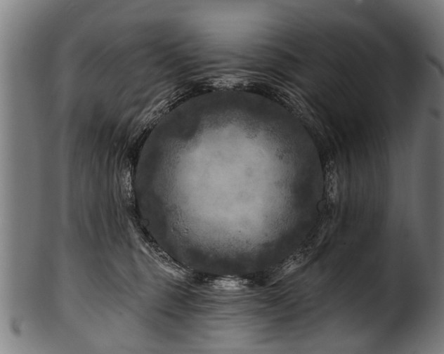 X0000100970375200806241557